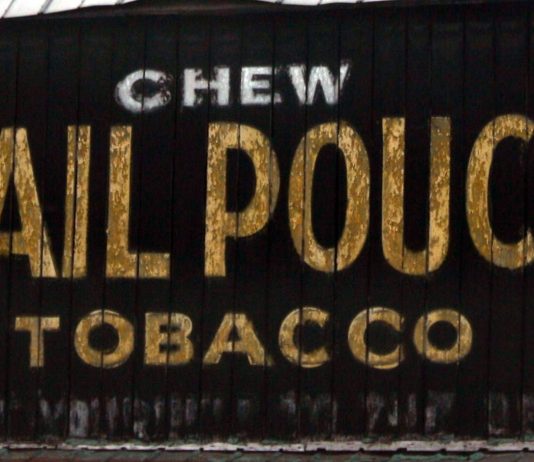 Smokeless Tobacco vs Your Mouth