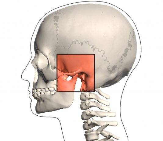 The Connection between TMJ and the Body