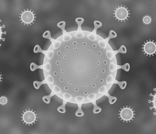 Is the Immune System Linked to Oral Health?