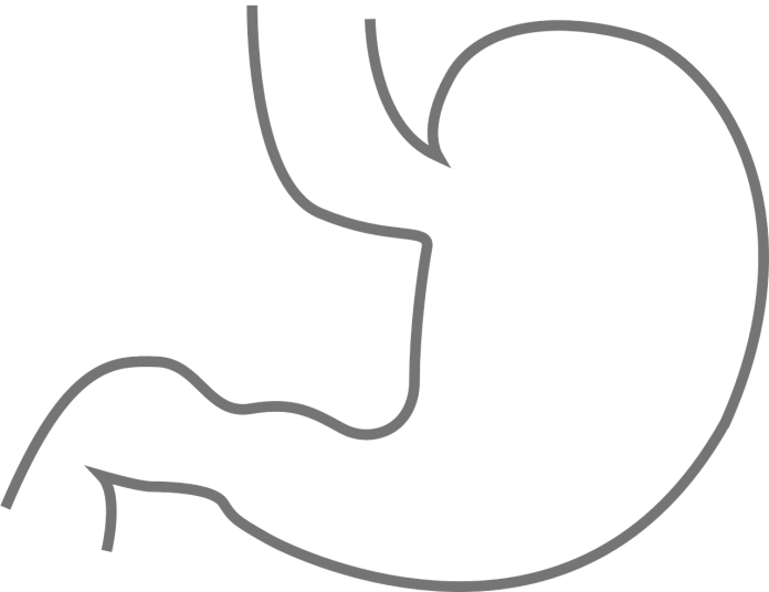 stomach-293928_1280