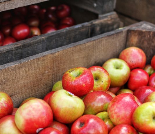 These 5 Foods Are Good for Your Oral Health