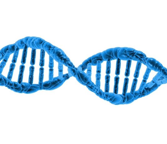 Oral Cancer: Genetic or Preventable?