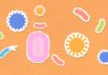 The Role of Oral Bacteria: Good vs. Bad good bacteria oral health