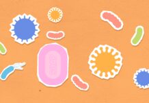 The Role of Oral Bacteria: Good vs. Bad good bacteria oral health