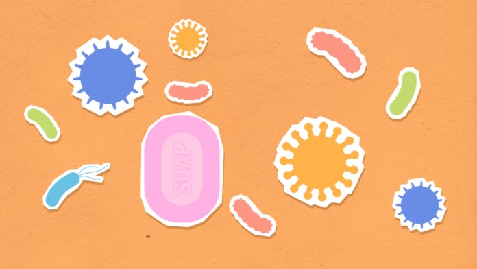 pexels-gabby-k-5847518 good bacteria oral health